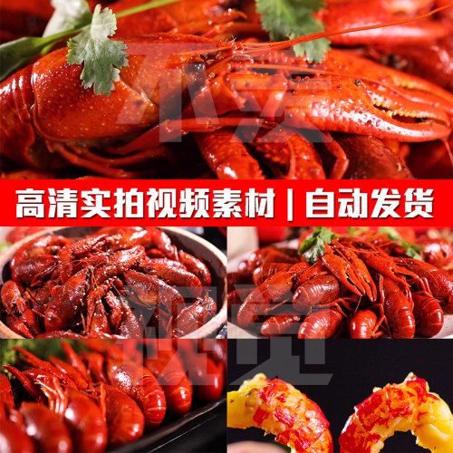 椒香鲜辣小龙虾新鲜麻辣小龙虾海鲜餐饮美食实拍PR剪辑短视频素材