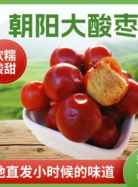大个头酸枣山枣软糯酸爽包邮