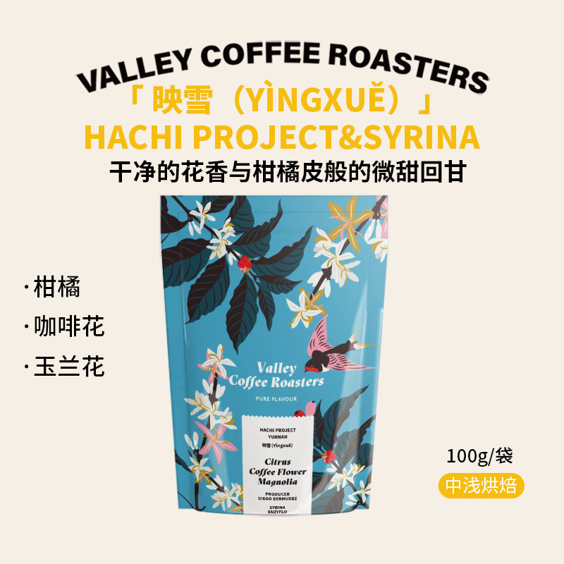 山谷咖啡|柑橘 玉兰 hachi映雪26产季云南赛琳娜中浅烘手冲咖啡豆