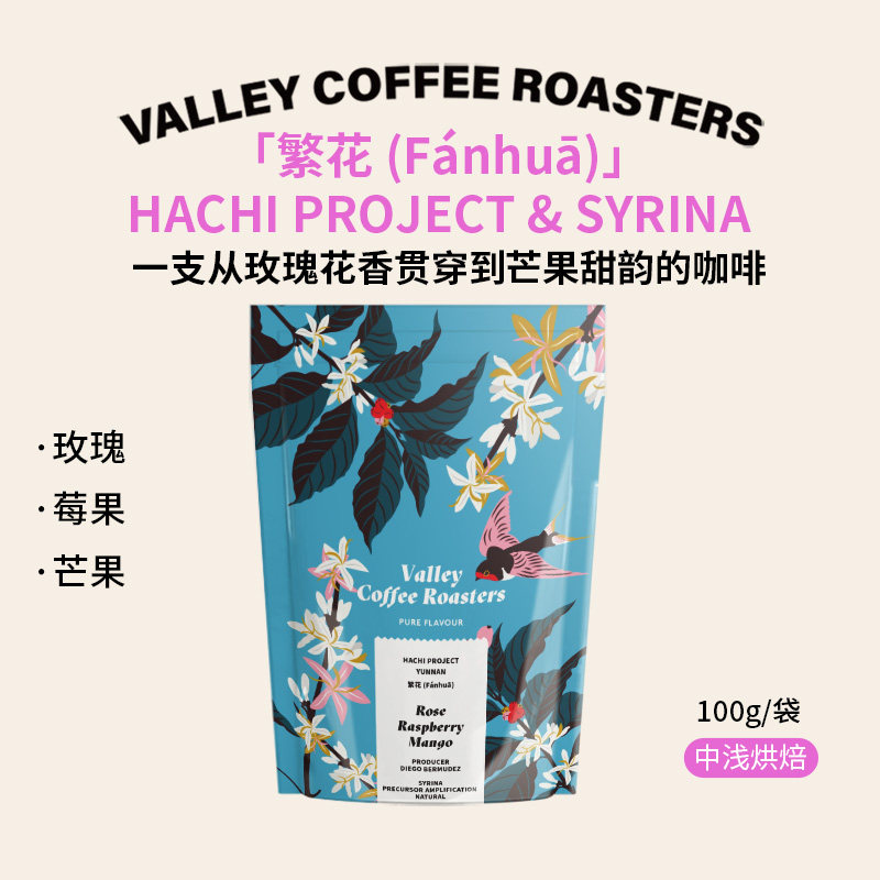 山谷咖啡|玫瑰 莓果 26新产季中国云南Hachi繁花高甜赛琳娜手冲豆