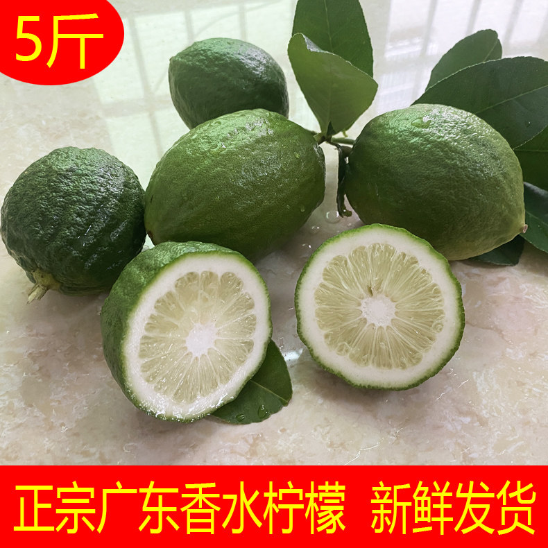 广东本地香水柠檬茶饮新鲜无籽青柠檬商用浓香苦瓜皮大果5斤批发