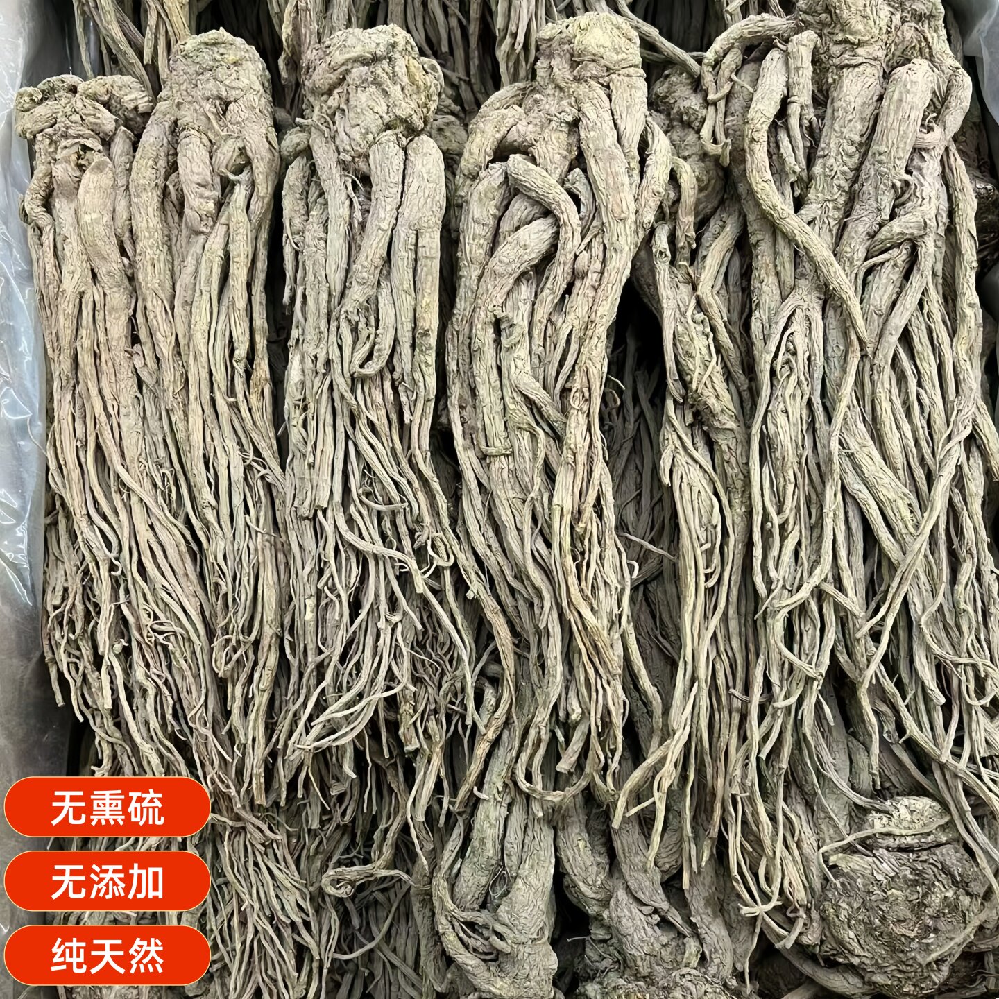云南新鲜当归整颗中药材