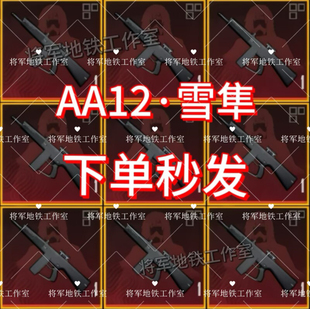 秒发雪隼boos专属武器qv双区AA12 特价 备 G红喷血隼 地铁逃生装