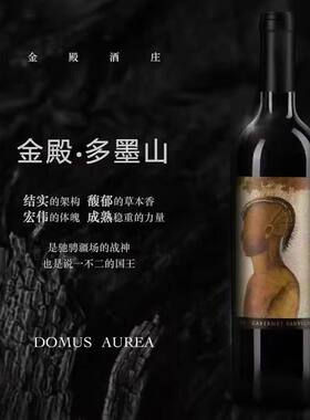 智利十八罗汉金殿多墨山金色圣殿赤霞珠干红葡萄酒750ML红酒