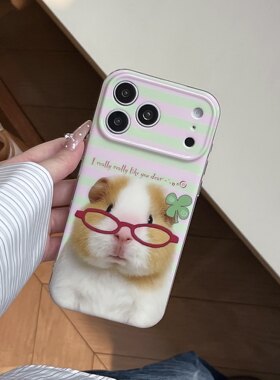 一家不会撞壳的店趣味可爱眼镜豚鼠手机壳适用苹果iphone17P18p16PROpromax15PM14IMD百搭硅胶气囊防摔保护套