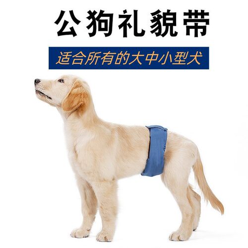 公狗狗生理裤礼貌带防骚扰狗狗尿裤护肚泰迪金毛防水底可换洗内裤 - 封面