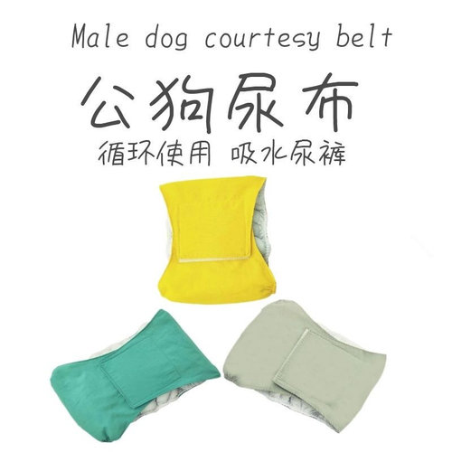 防水腰带尿裤金毛大中型发情公狗