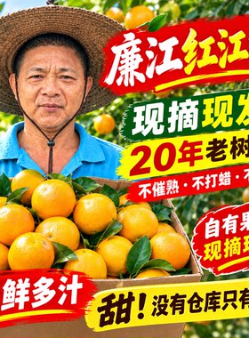 红江橙廉江红江农场孕妇水果广东