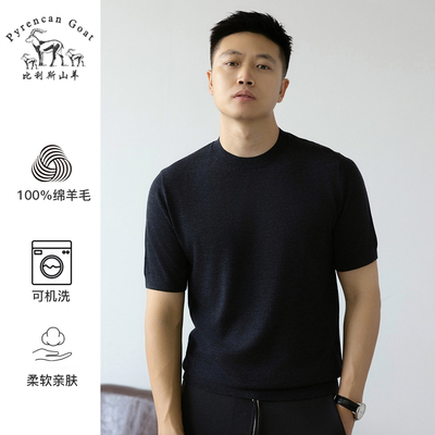 薄款精纺针织T恤绵羊毛半袖圆领