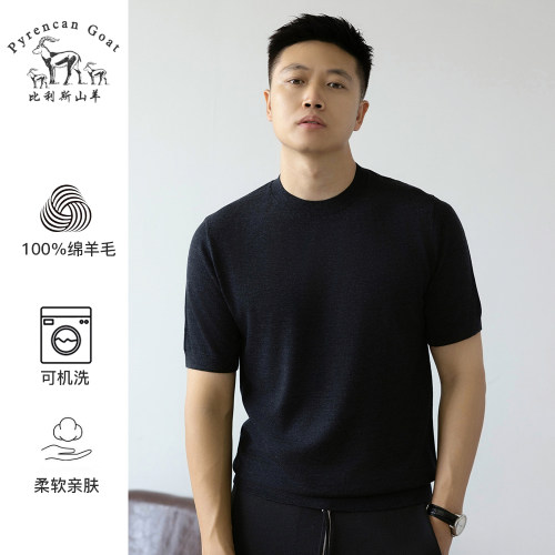 薄款精纺针织T恤绵羊毛半袖圆领