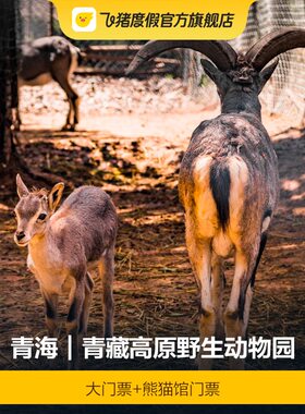 青藏动物园+熊猫馆