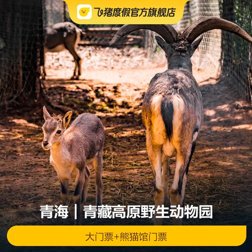 青藏动物园+熊猫馆