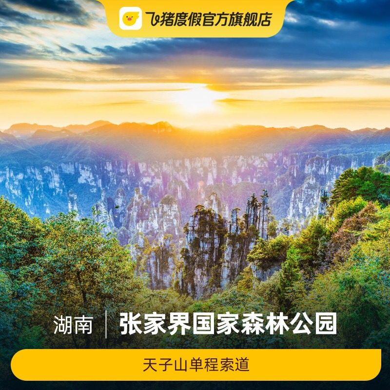 [张家界国家森林公园-天子山单程索道]天子山单程索道