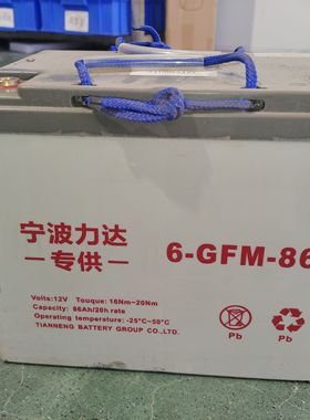 宁波力达6-GFM-86叉车电池电瓶CBD15-170H小金刚配件电池