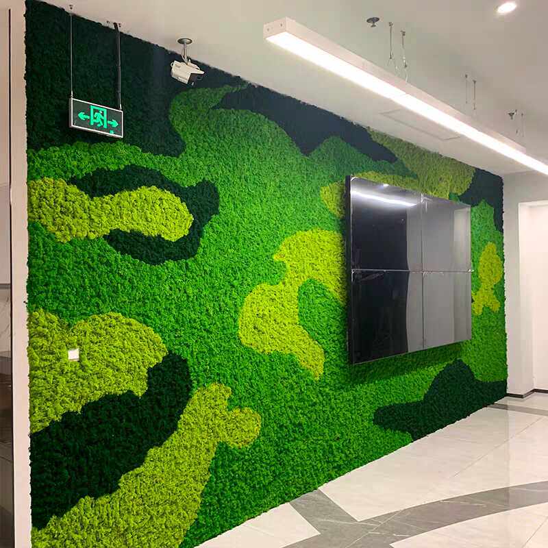 吸甲醛永生苔藓苔藓墙微景观