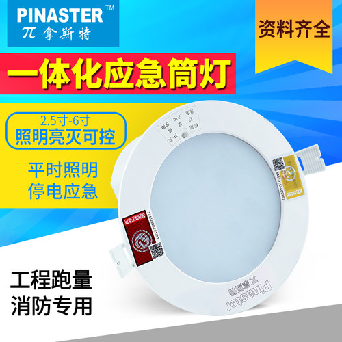 220V一体化应急筒灯π拿斯特