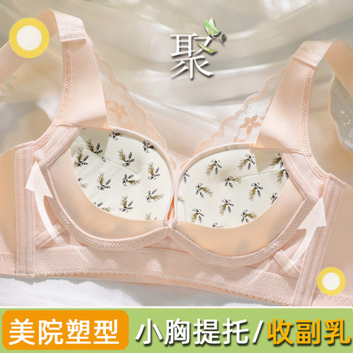【26年新款】聚拢上托文胸