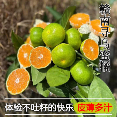 江西蜜桔柑橘赣南寻乌蜜橘5斤皮薄无籽橘子当季新鲜水果现摘现发