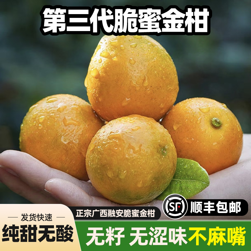 正宗广西融安脆蜜金柑第三代金桔