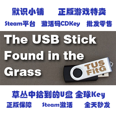 steam The USB Stick Found in the Grass 草丛中拾到的U盘 全球