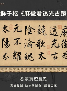 元鲜于枢麻徵君透光古镜歌行书法仿古代名家真迹复定制装裱轴长卷
