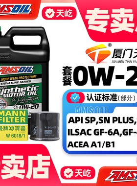 安索飞度GK5十代思域昂克赛拉CX-4/5阿特兹机油机滤小保养套餐装