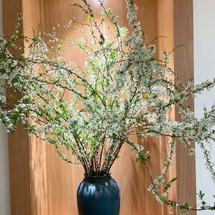 雪柳鲜枝鲜花云南顺丰直发家用插花鲜切枝重瓣干枝雪柳水培植物