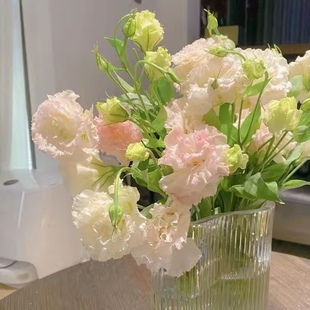 冰淇淋洋桔梗斗南鲜花基地直发云南昆明花卉市场水养家居鲜切花