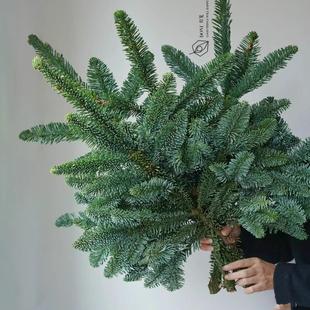 诺贝松鲜枝天然真花圣诞节装 饰材料手工DIY圣诞树鲜活云南花真树