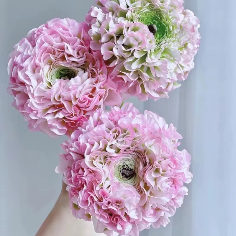 新品锦鲤洋牡丹云南鲜花束