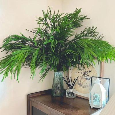 天竺少女松鲜切枝柳杉鲜花