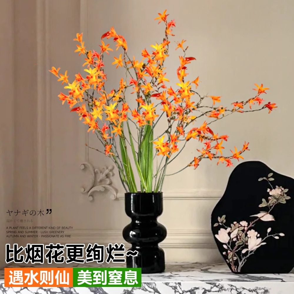 鲜花鲜切枝黄色水培插花火焰兰图片