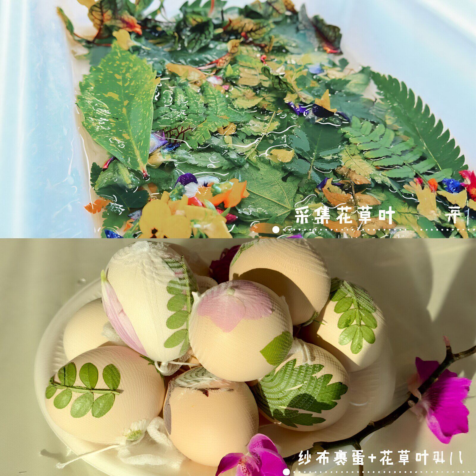 植物染蛋花草蛋纱布端午