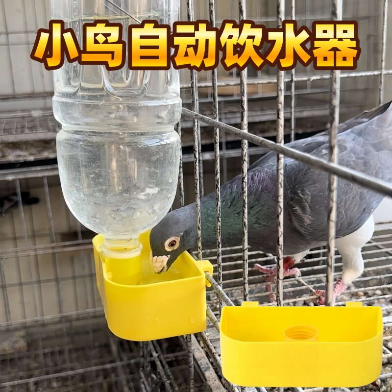 鹦鹉鸽子小鸟饮水器水器食盒鸽子笼鸽笼挂盒饮料瓶自动养殖水槽盒
