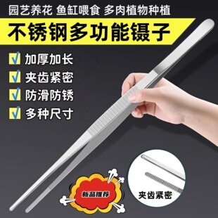 镊子不锈钢园艺长夹子大镊子取物加长鱼缸喂龟养花多肉专用下水道