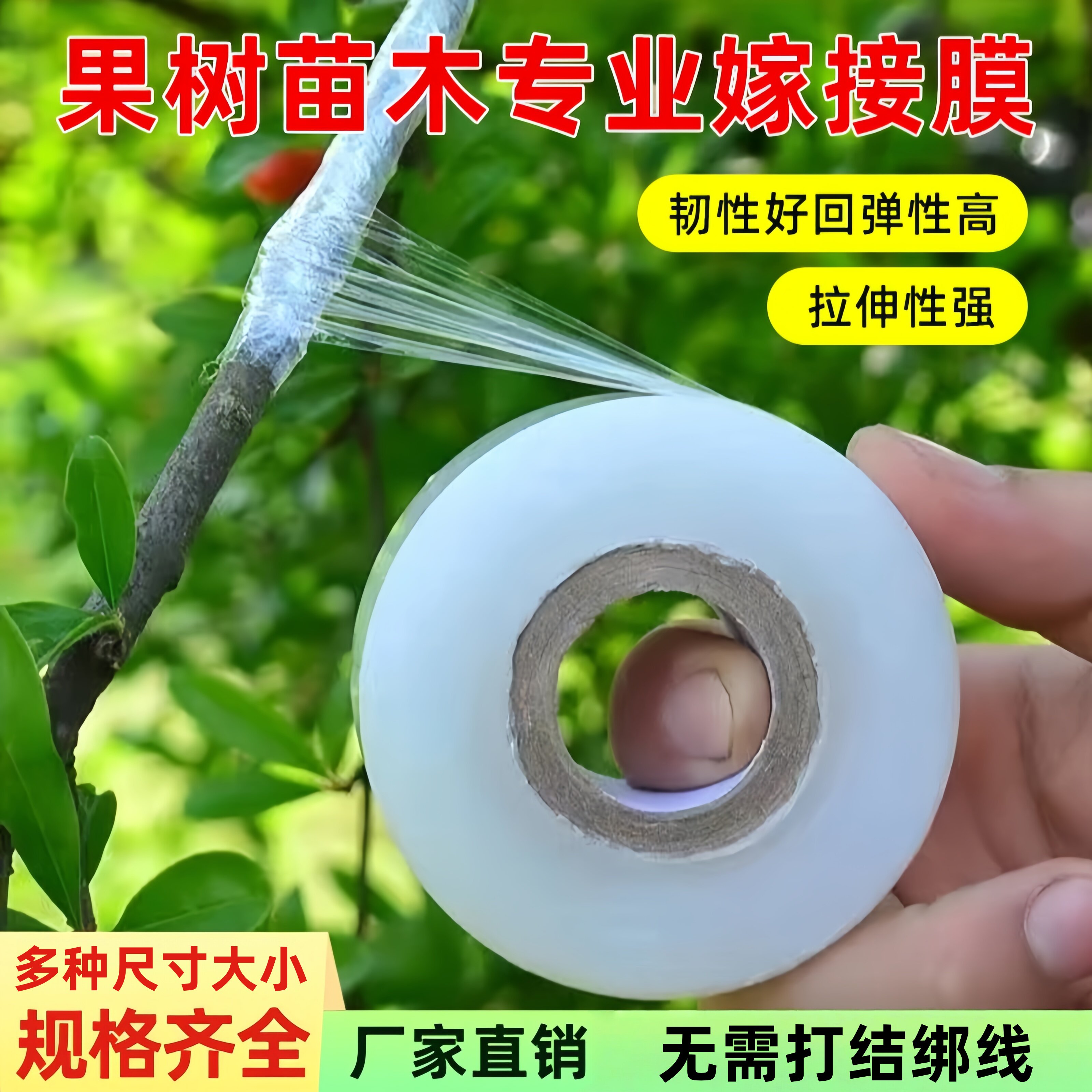 专业PE嫁接膜果树苗木专用膜缠绕膜自粘膜打包透明拉伸打包扎薄膜