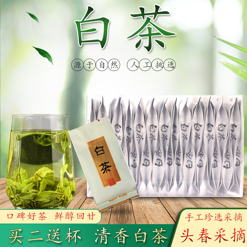 250克浙江白茶叶绿茶小包装茶酒店独立小袋装袋泡茶新茶盒装500g