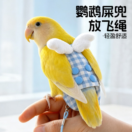 鹦鹉尿不湿屎兜可调节舒适透气
