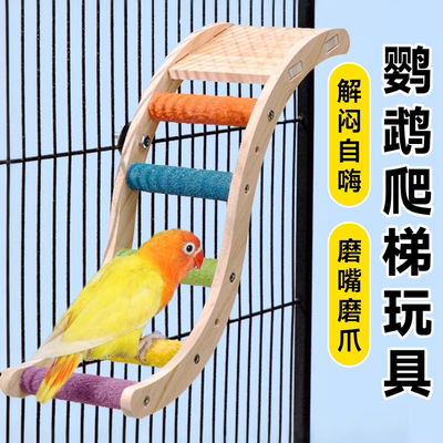 鹦鹉云梯鸟笼攀爬玩具小鸟磨爪棒楼梯玄凤平台爬梯虎皮梯子逗鸟棒