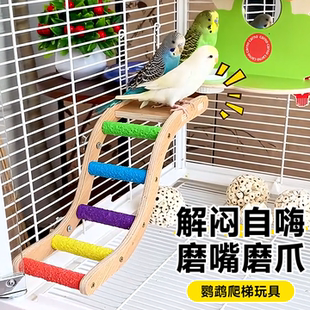 鹦鹉云梯鸟笼攀爬玩具小鸟虎皮磨爪棒爬架玄凤逗鸟笼配件专用楼梯