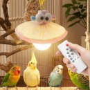 鸟笼氛围灯鹦鹉小夜灯照明悬挂鸟笼灯虎皮玄凤三档色温充电防炸笼