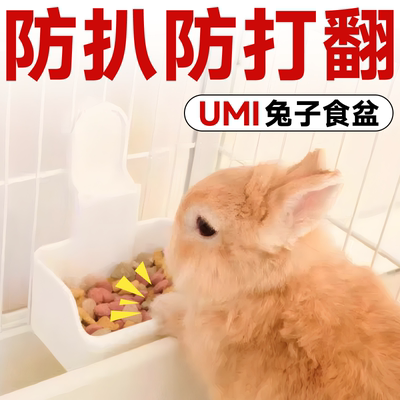 UMI兔子食盆防打翻兔粮碗