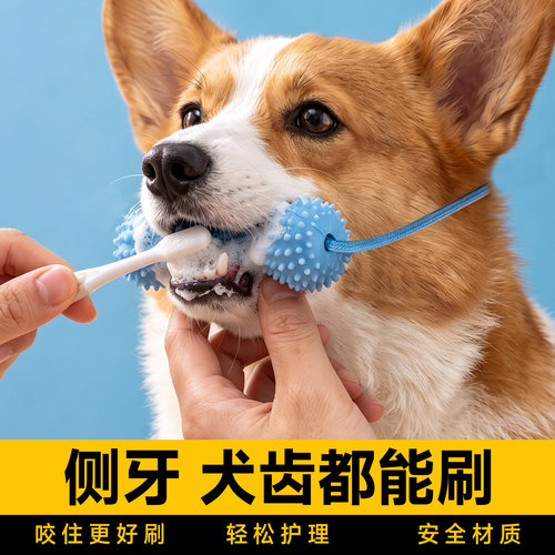 磨牙玩具狗狗刷牙辅助器清洁耐咬