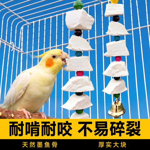 天然墨鱼骨鹦鹉磨牙啃咬专用玩具