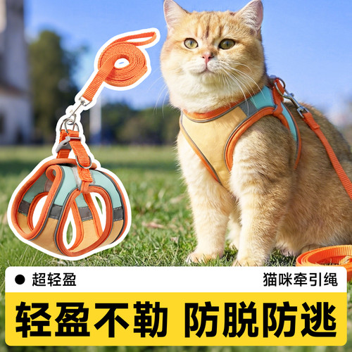 牵引绳防挣脱背心式可调节外出