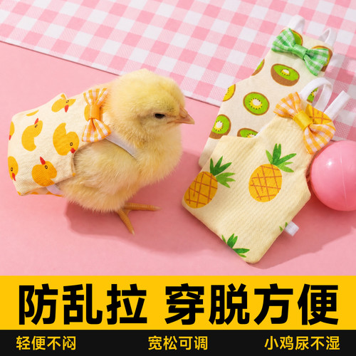 小鸡尿不湿粪兜专用纸尿裤屎兜
