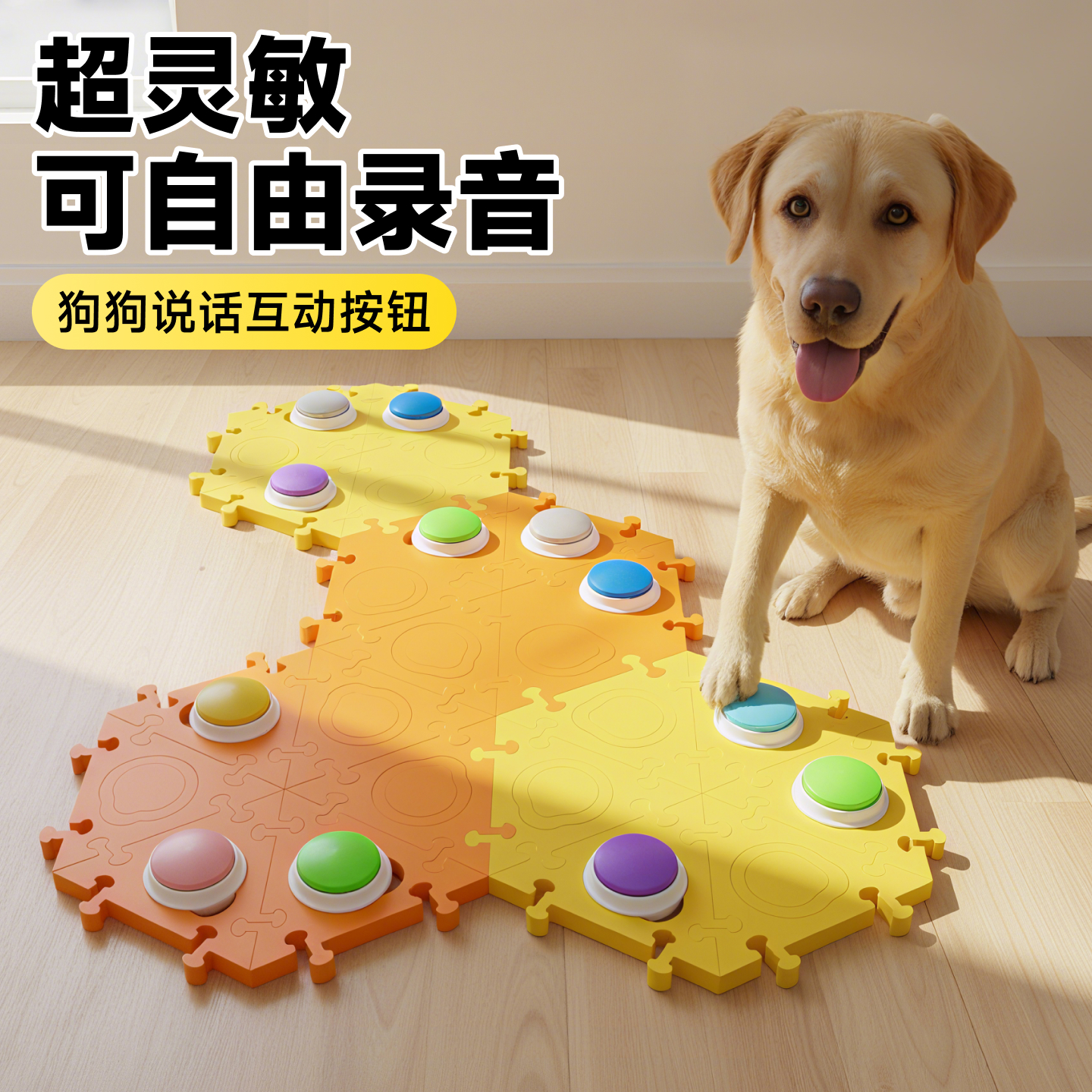 狗狗说话按钮按键发声器语音吃饭垫子宠物小狗录音指令训练按铃器