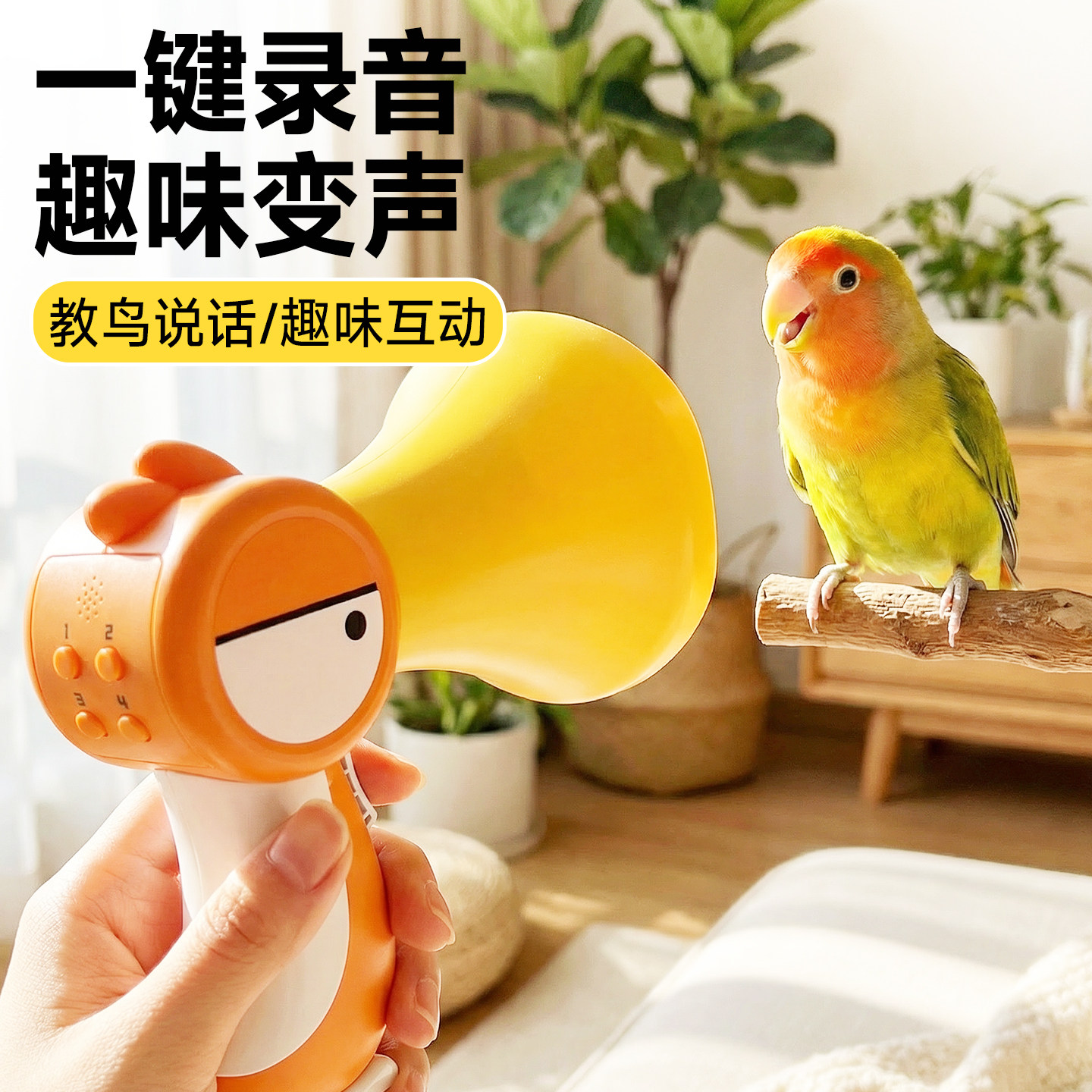 鹦鹉学说话机小鸟学话复读机教八哥说话神器虎皮小太阳充电训练器,宠物/宠物食品及用品,鸟玩具,淘宝优惠券,粉丝福利购,淘宝优惠卷