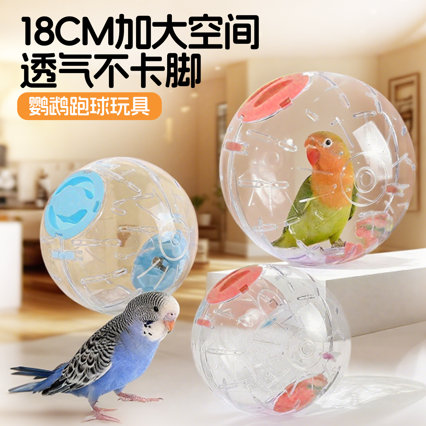 鹦鹉玩具虎皮解闷自嗨牡丹小太阳啃咬跑球滚球小鸟新款训练玩具,宠物/宠物食品及用品,鸟玩具,淘宝优惠券,粉丝福利购,淘宝优惠卷