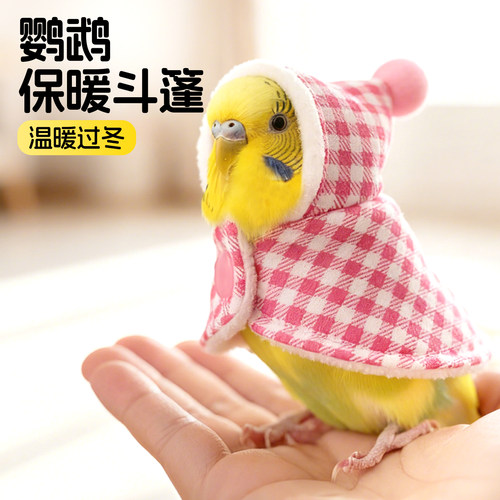 鹦鹉斗篷小鸟衣服披风虎皮牡丹玄凤小太阳加厚保暖外出专用鸟用品